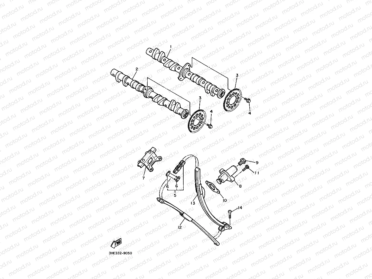 CAMSHAFT & CHAIN