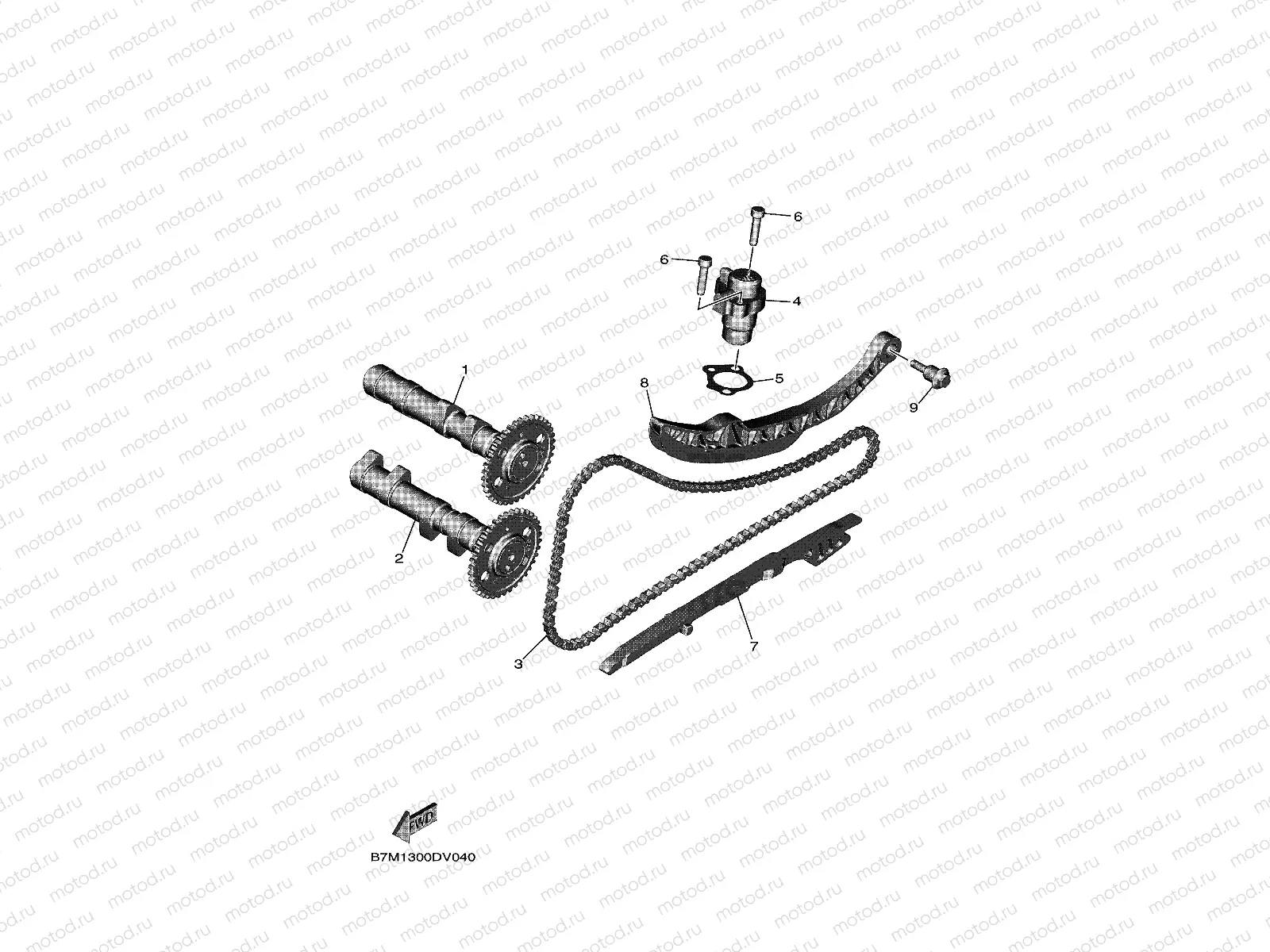CAMSHAFT & CHAIN