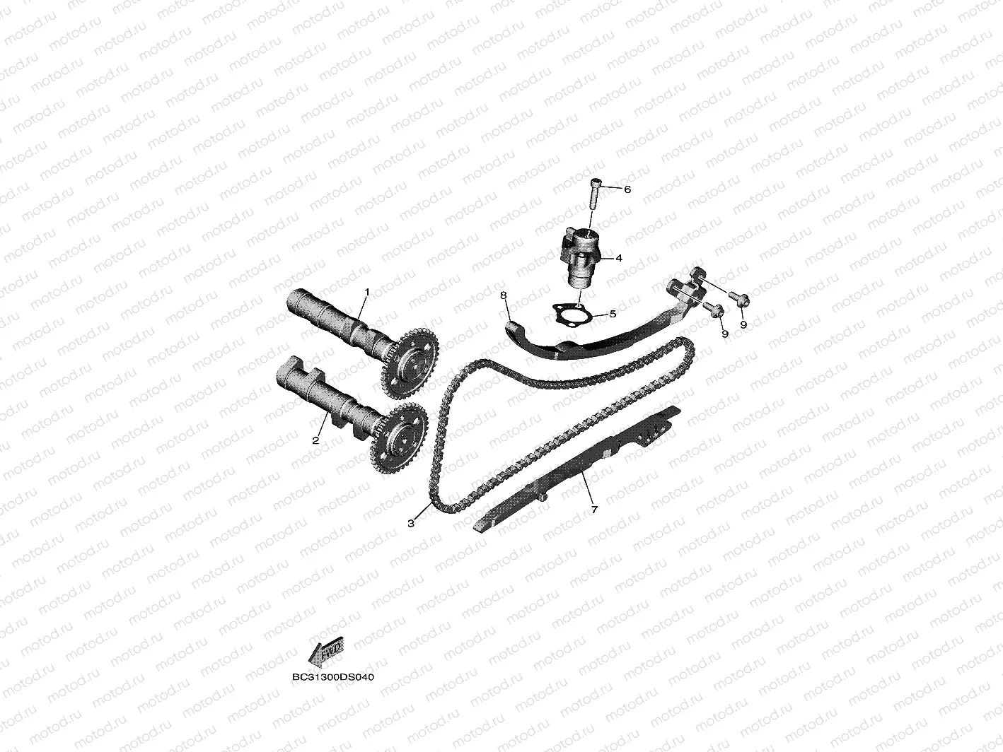 CAMSHAFT & CHAIN