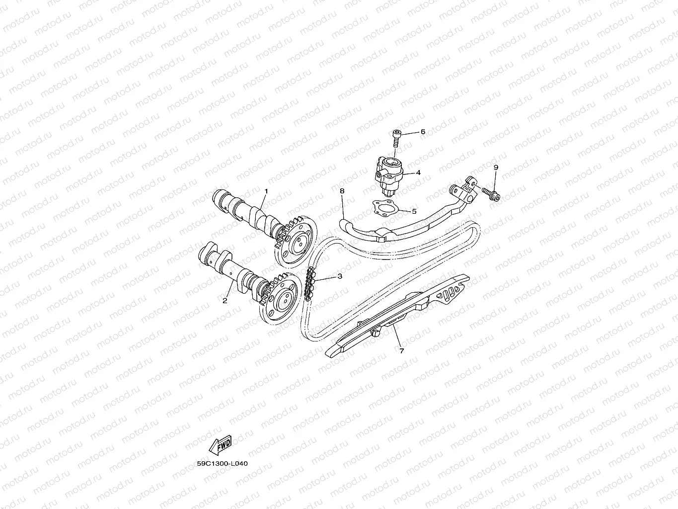 CAMSHAFT & CHAIN