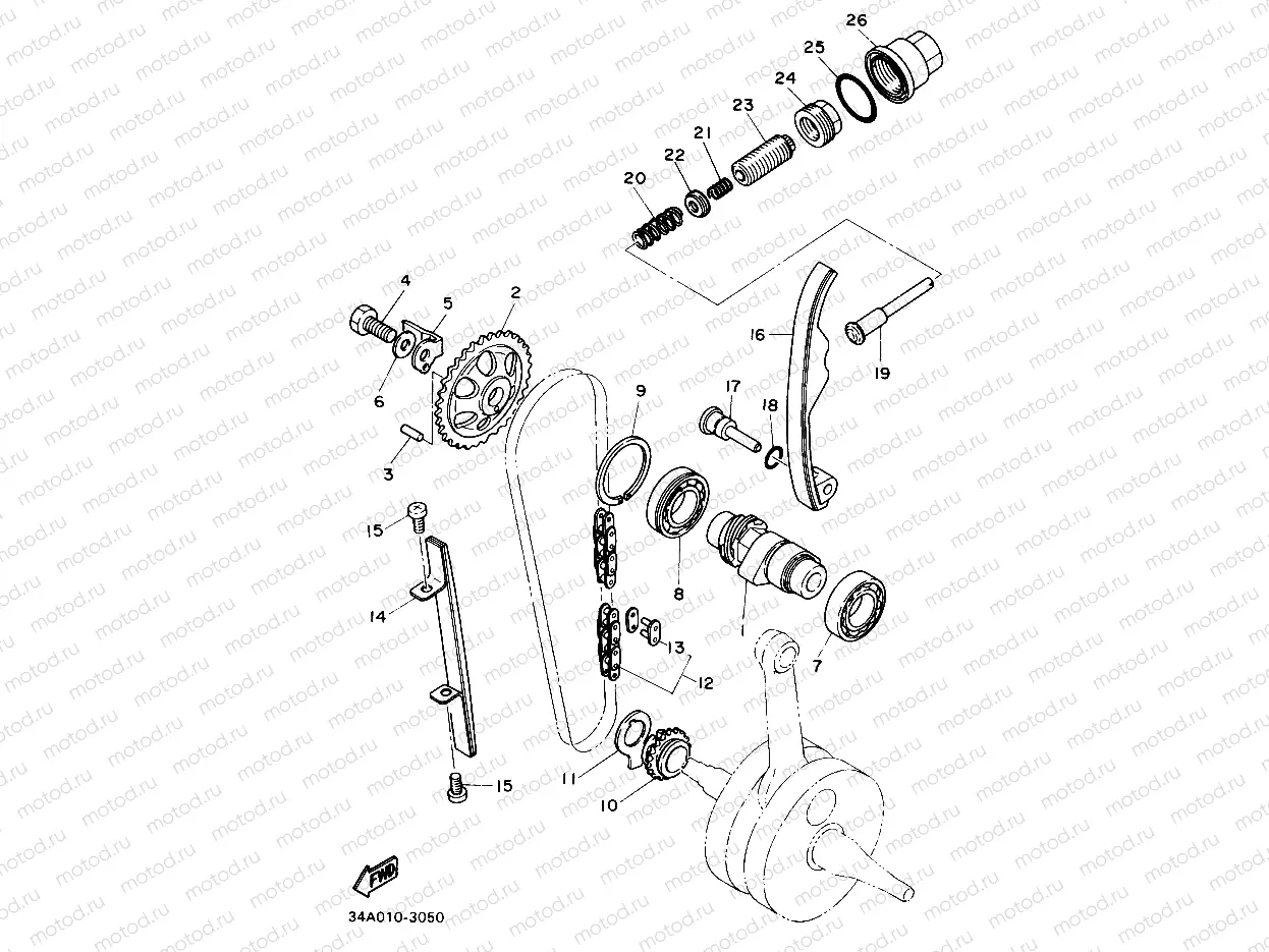 CAMSHAFT & CHAIN