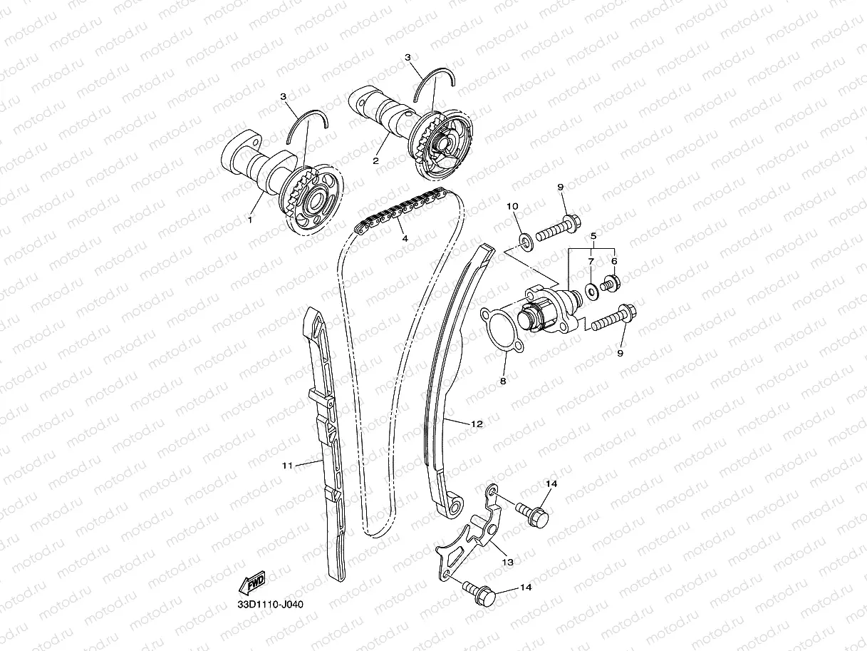 CAMSHAFT & CHAIN