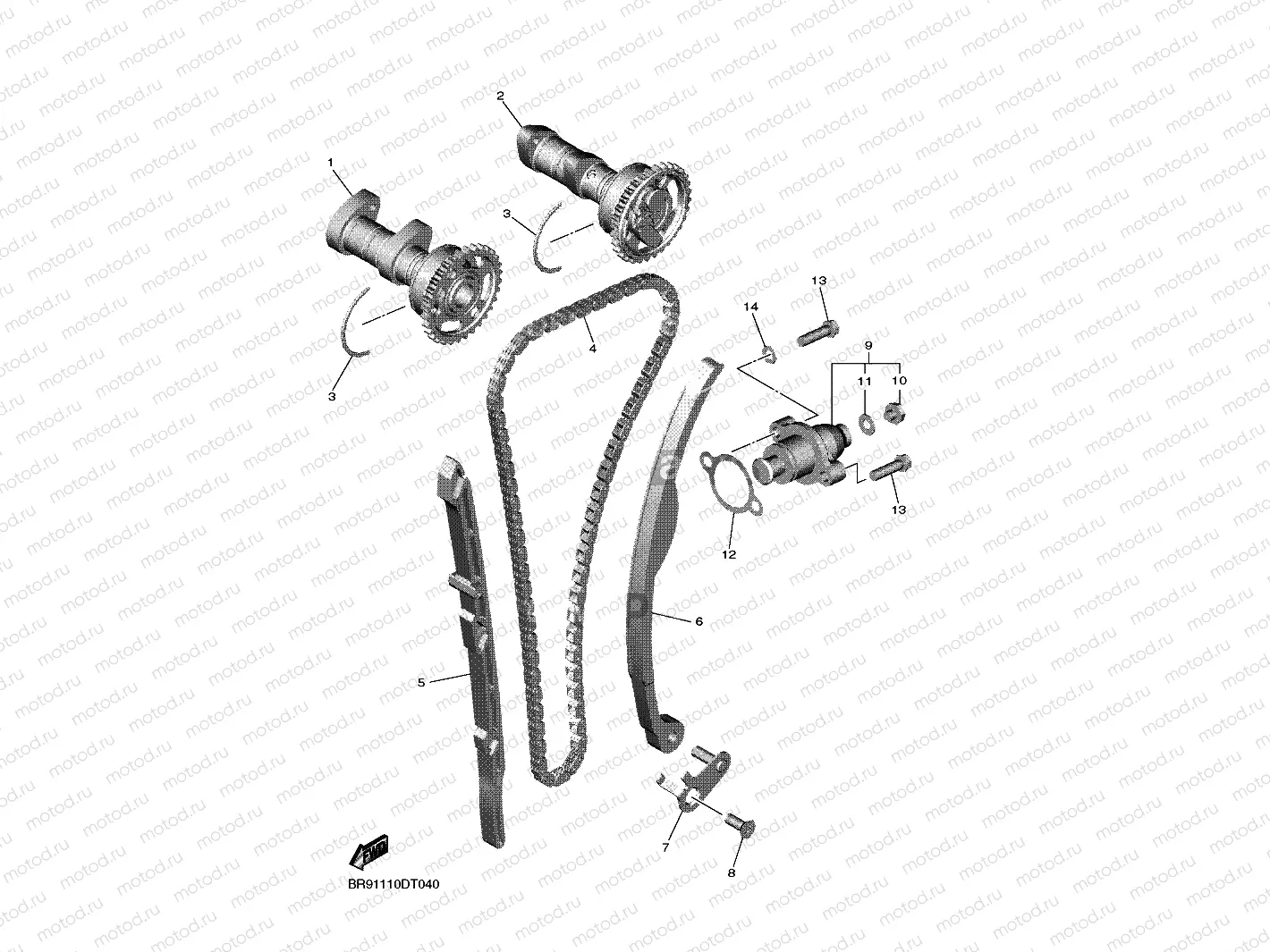 CAMSHAFT & CHAIN
