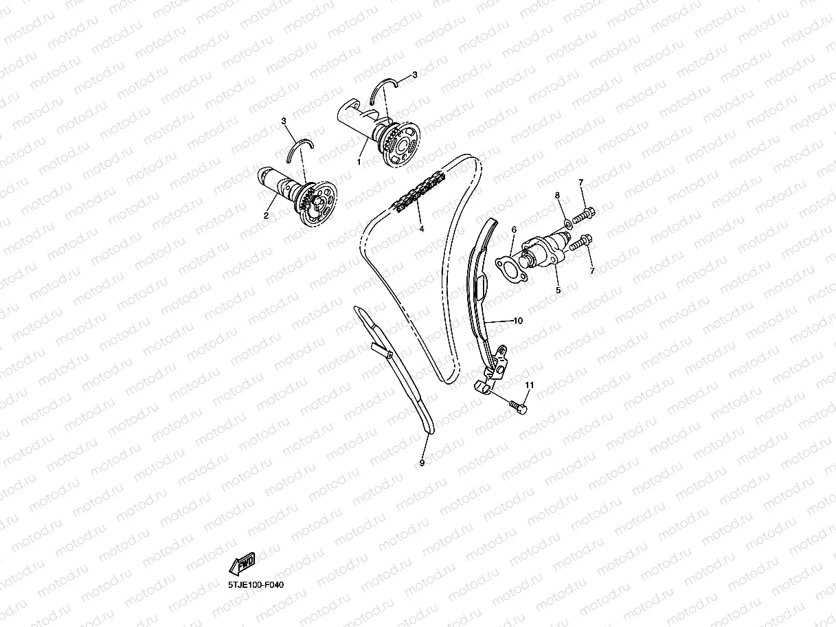 CAMSHAFT & CHAIN