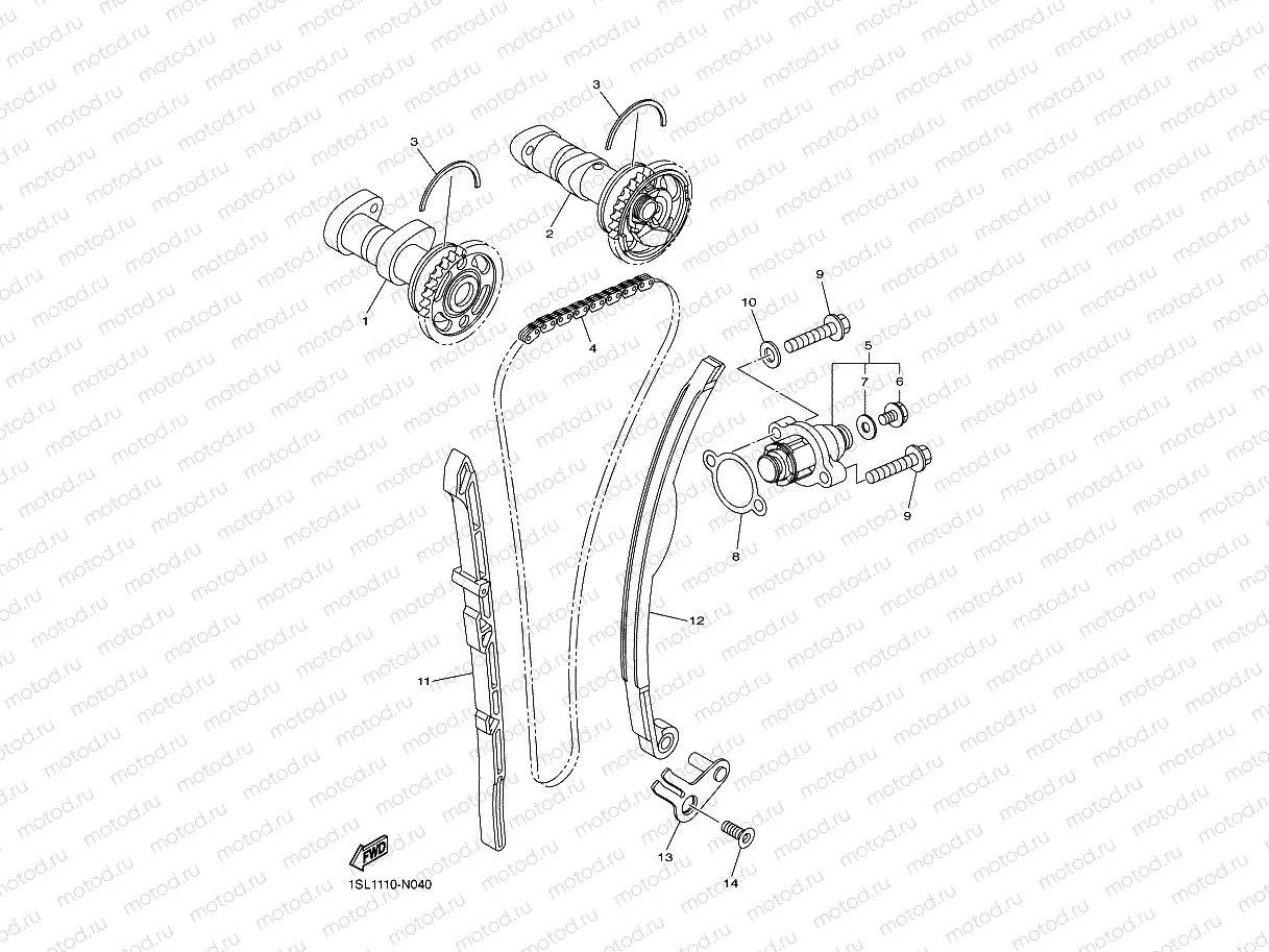 CAMSHAFT & CHAIN