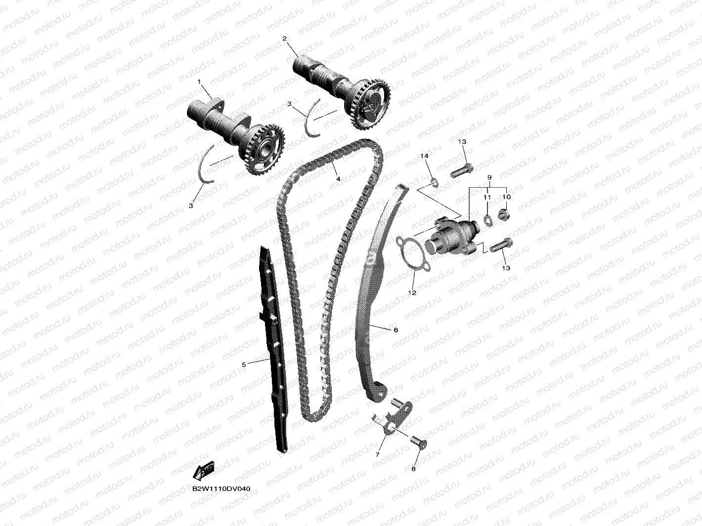 CAMSHAFT & CHAIN