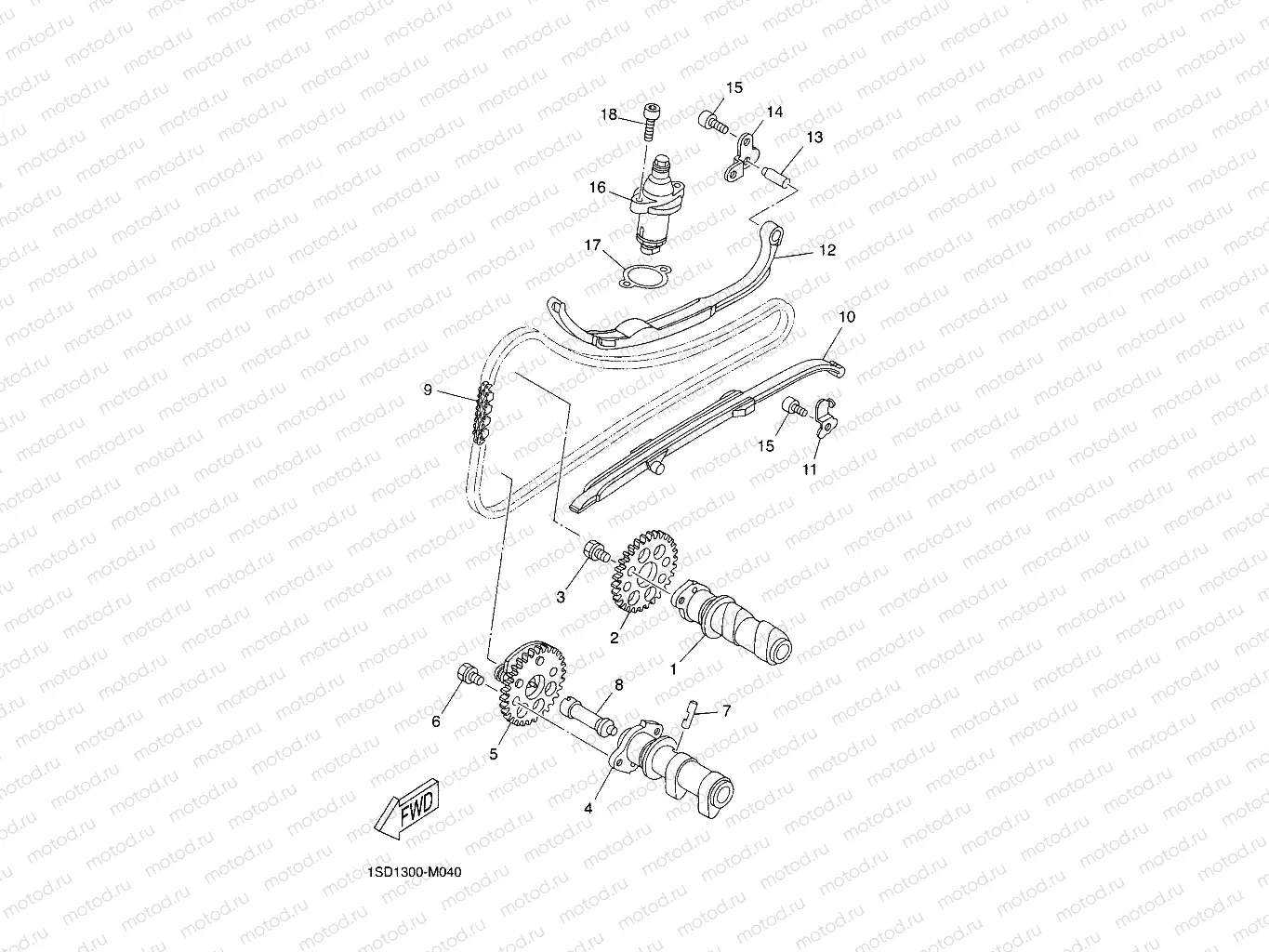 CAMSHAFT & CHAIN