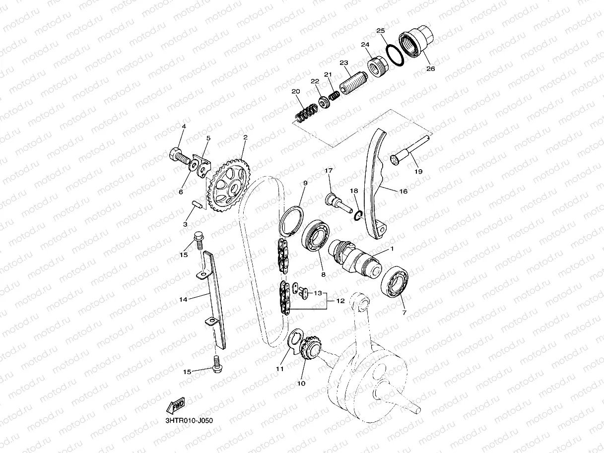 CAMSHAFT & CHAIN
