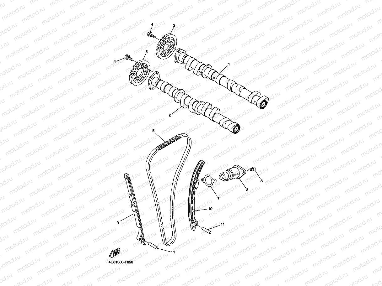 CAMSHAFT & CHAIN