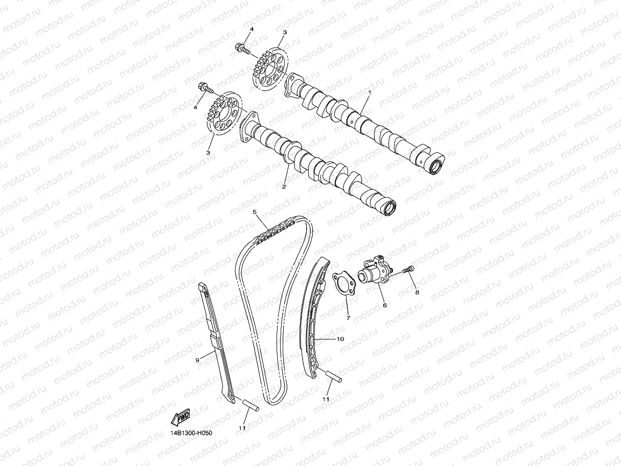 CAMSHAFT & CHAIN