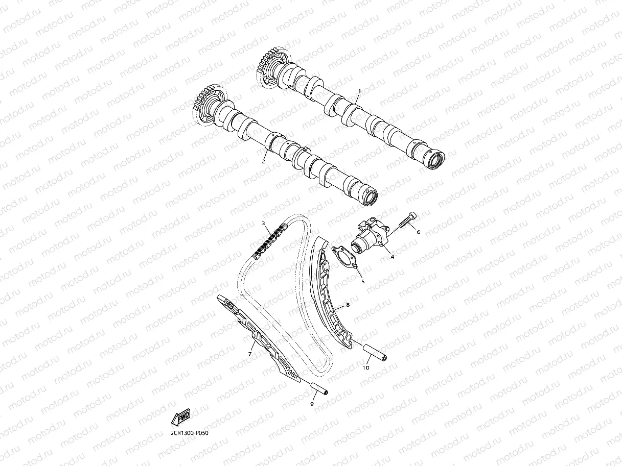 CAMSHAFT & CHAIN