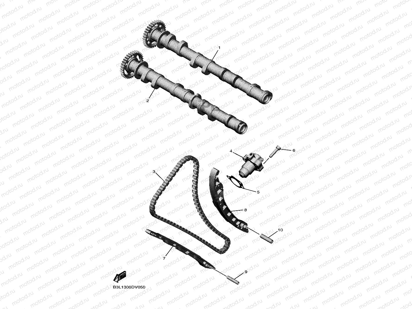 CAMSHAFT & CHAIN