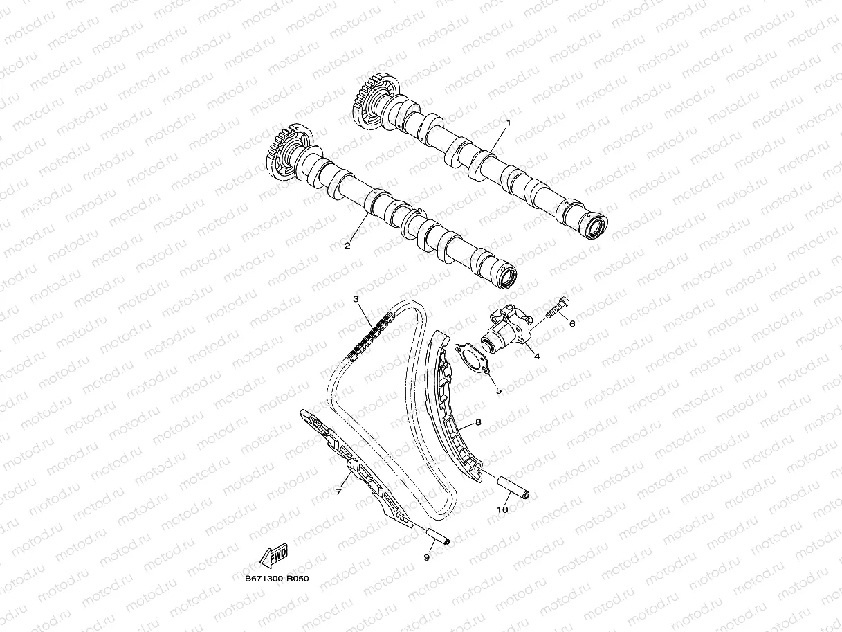 CAMSHAFT & CHAIN