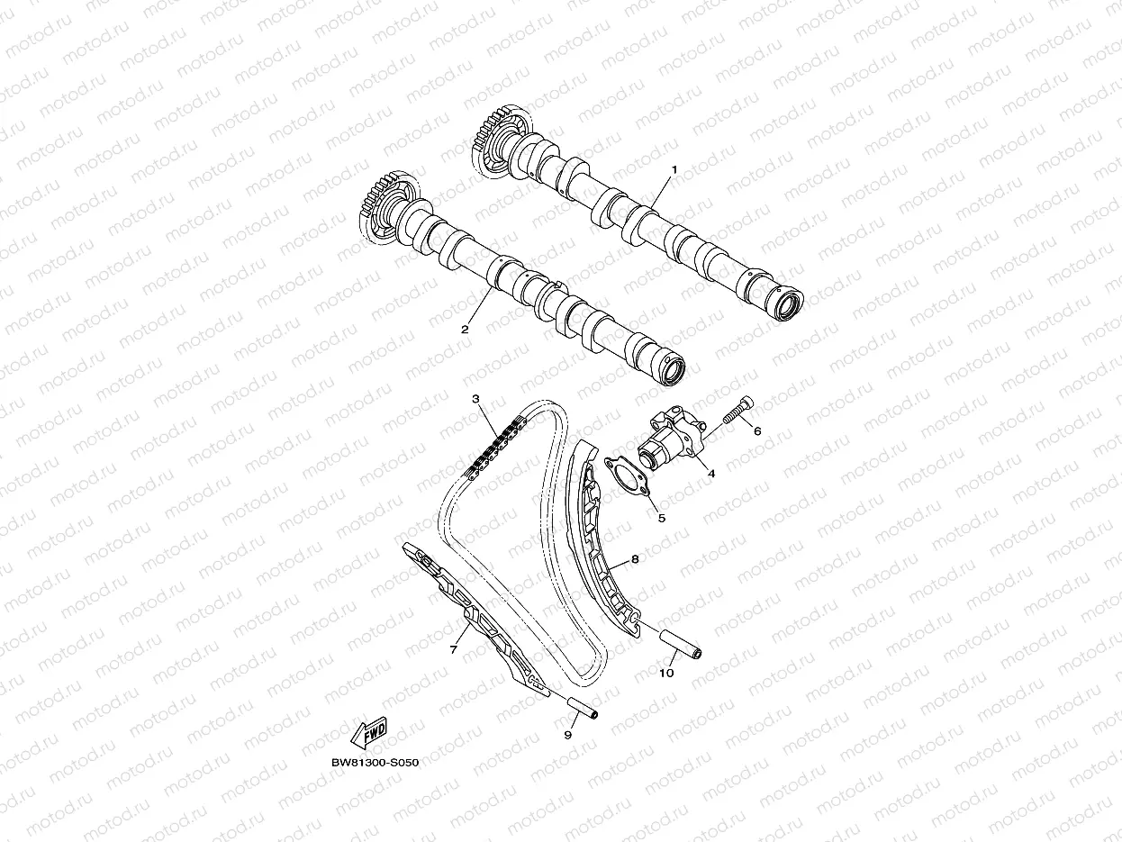 CAMSHAFT & CHAIN