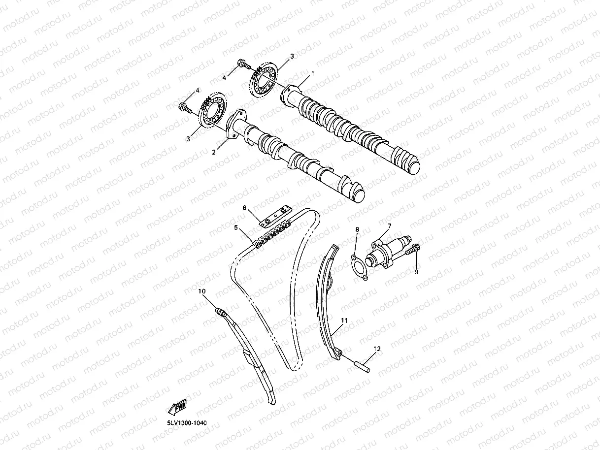 CAMSHAFT & CHAIN