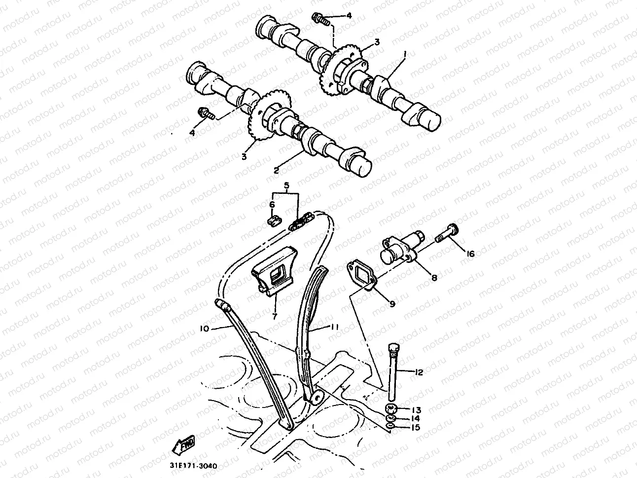CAMSHAFT & CHAIN