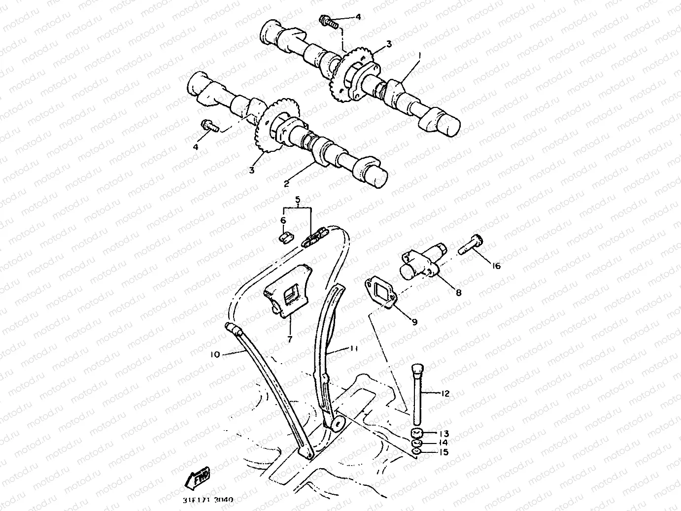 CAMSHAFT & CHAIN