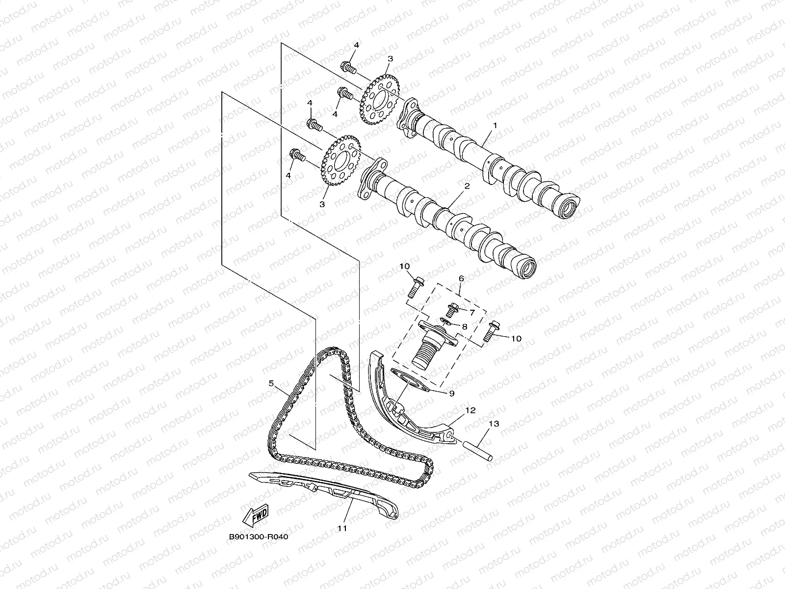 CAMSHAFT & CHAIN