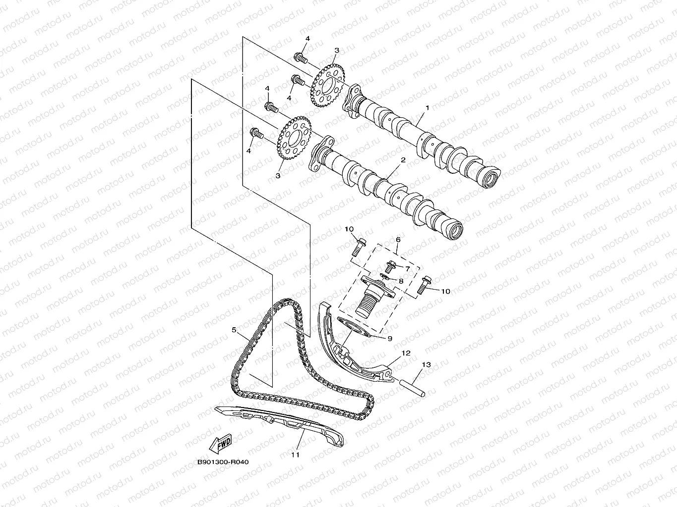 CAMSHAFT & CHAIN