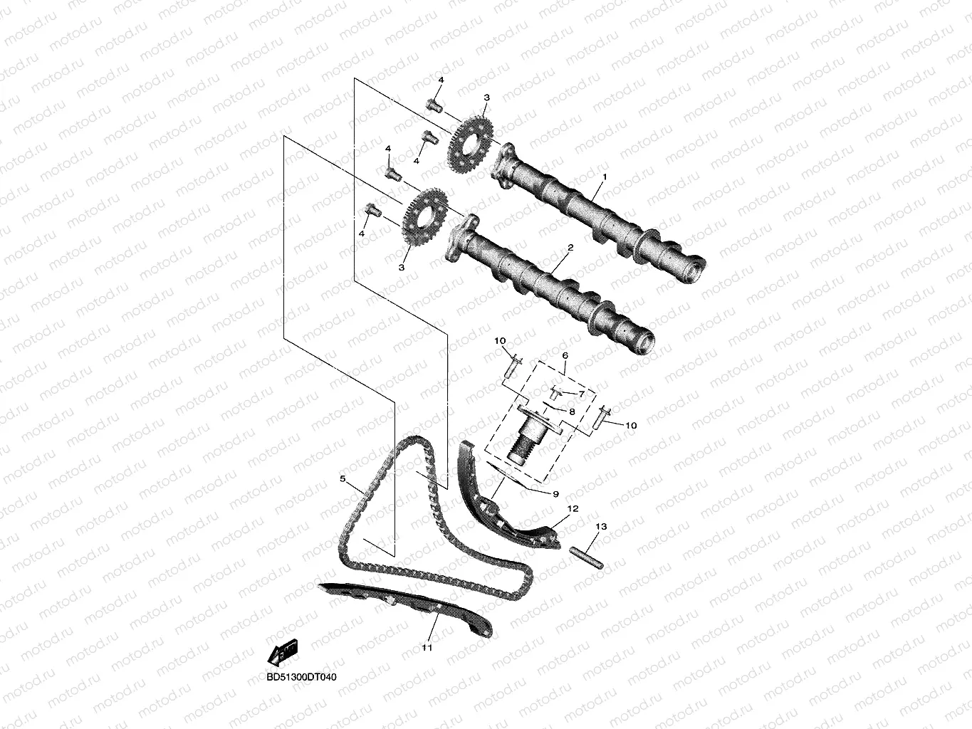 CAMSHAFT & CHAIN