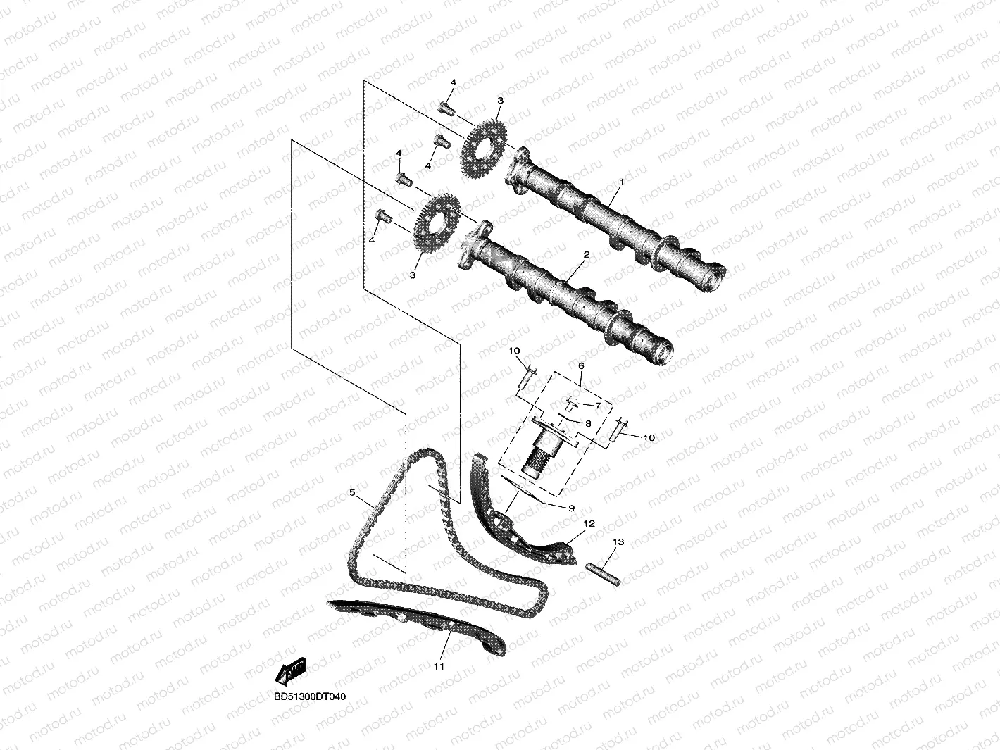 CAMSHAFT & CHAIN