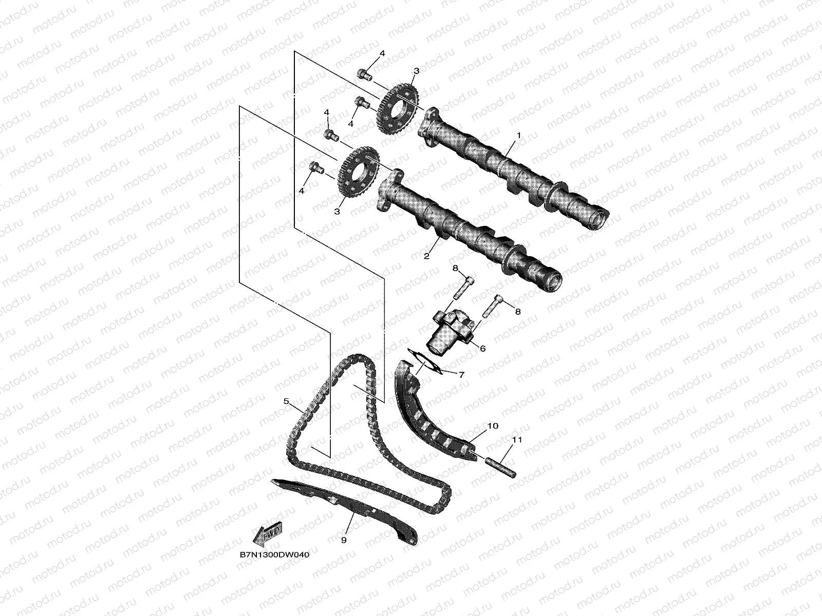 CAMSHAFT & CHAIN