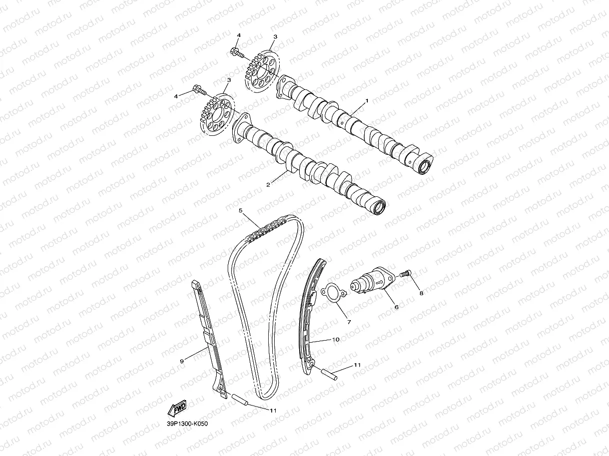 CAMSHAFT & CHAIN