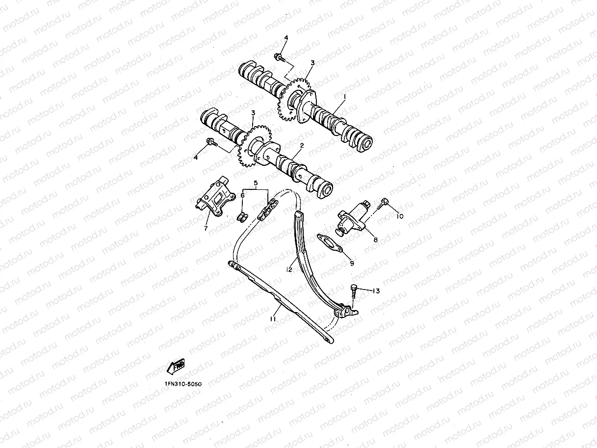 CAMSHAFT & CHAIN