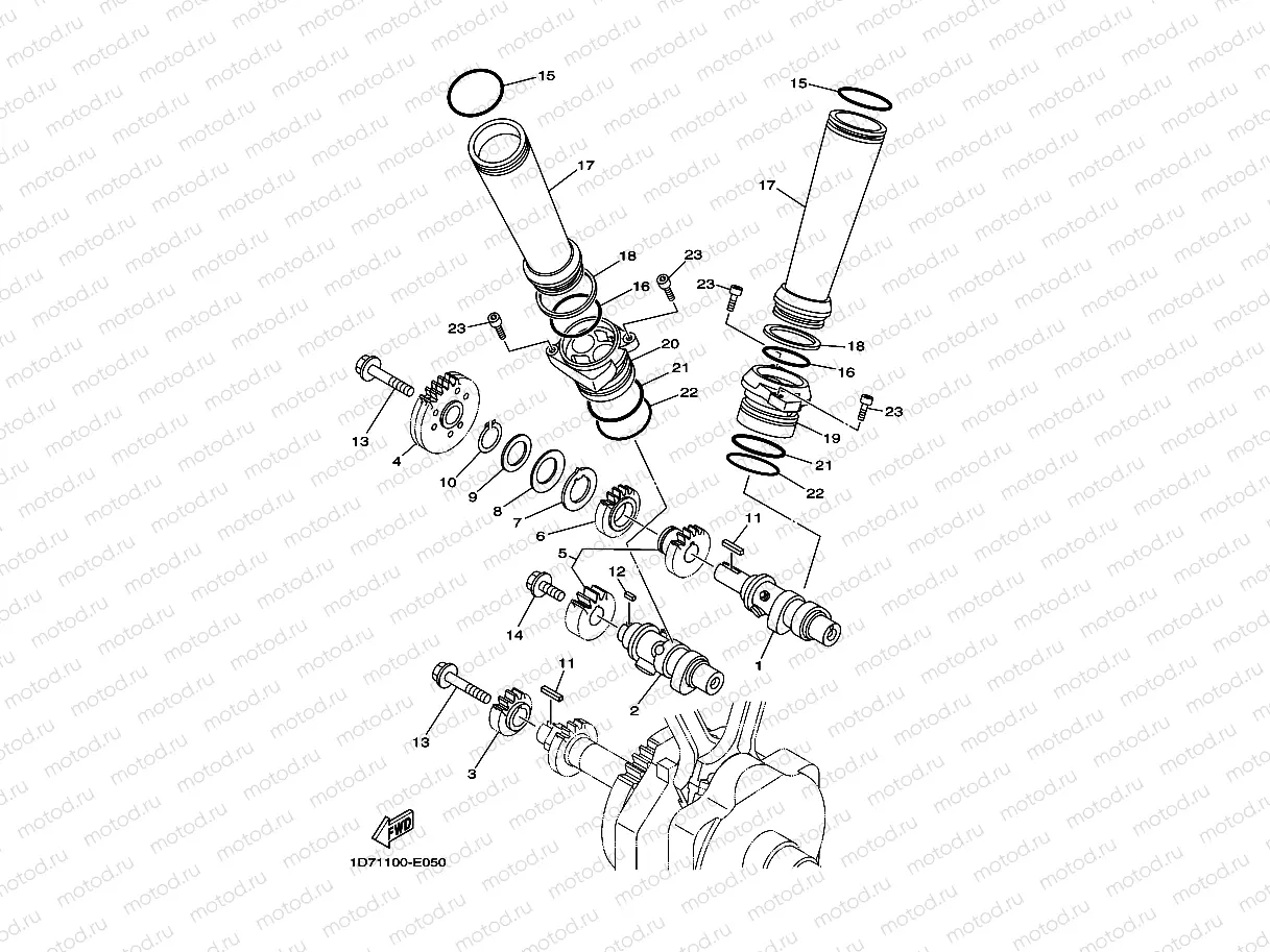 CAMSHAFT & CHAIN