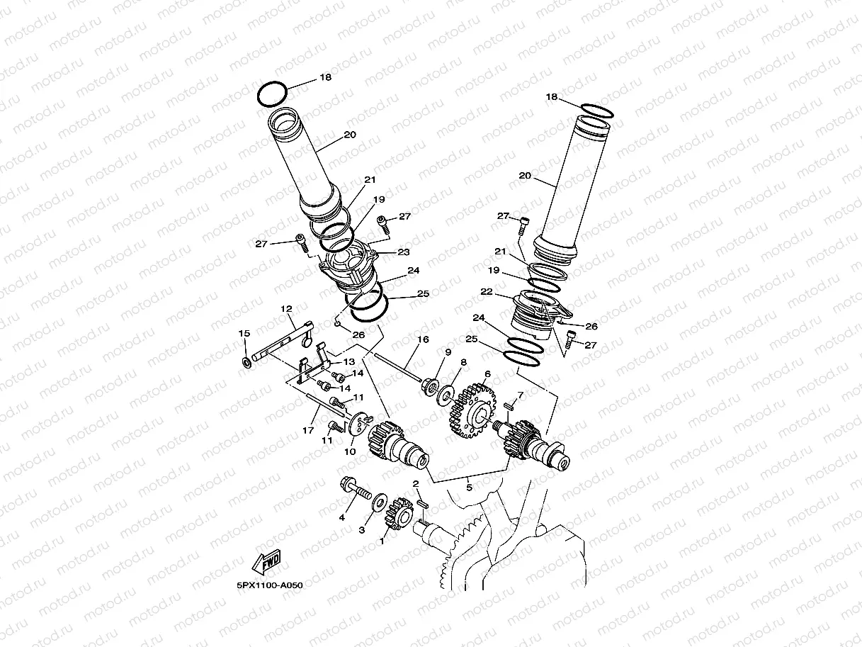 CAMSHAFT & CHAIN