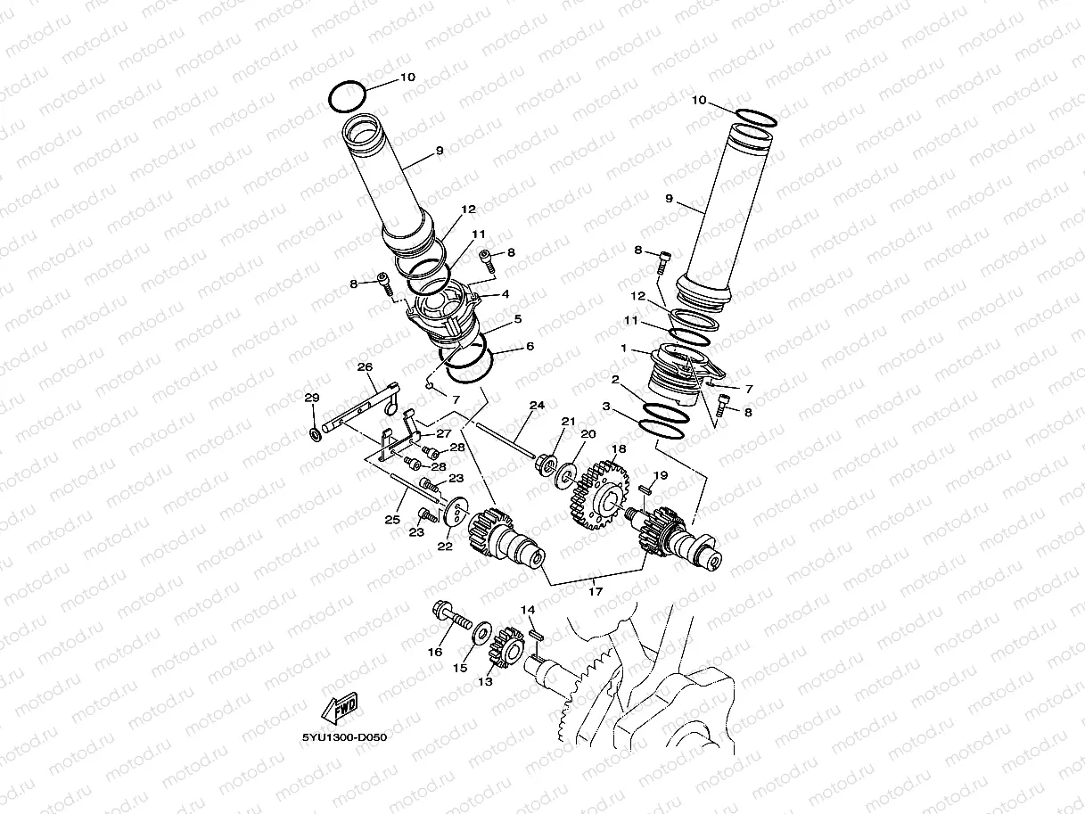 CAMSHAFT & CHAIN