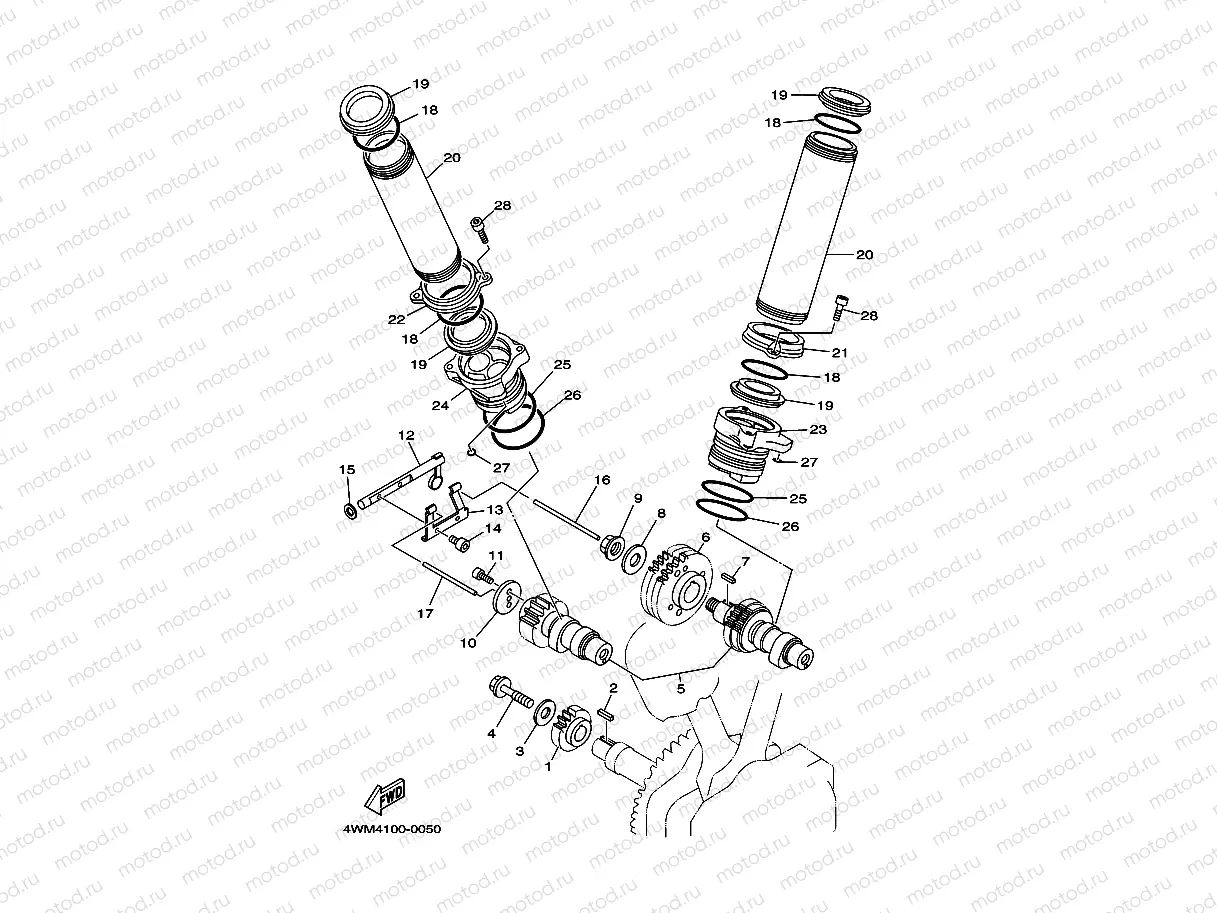 CAMSHAFT & CHAIN