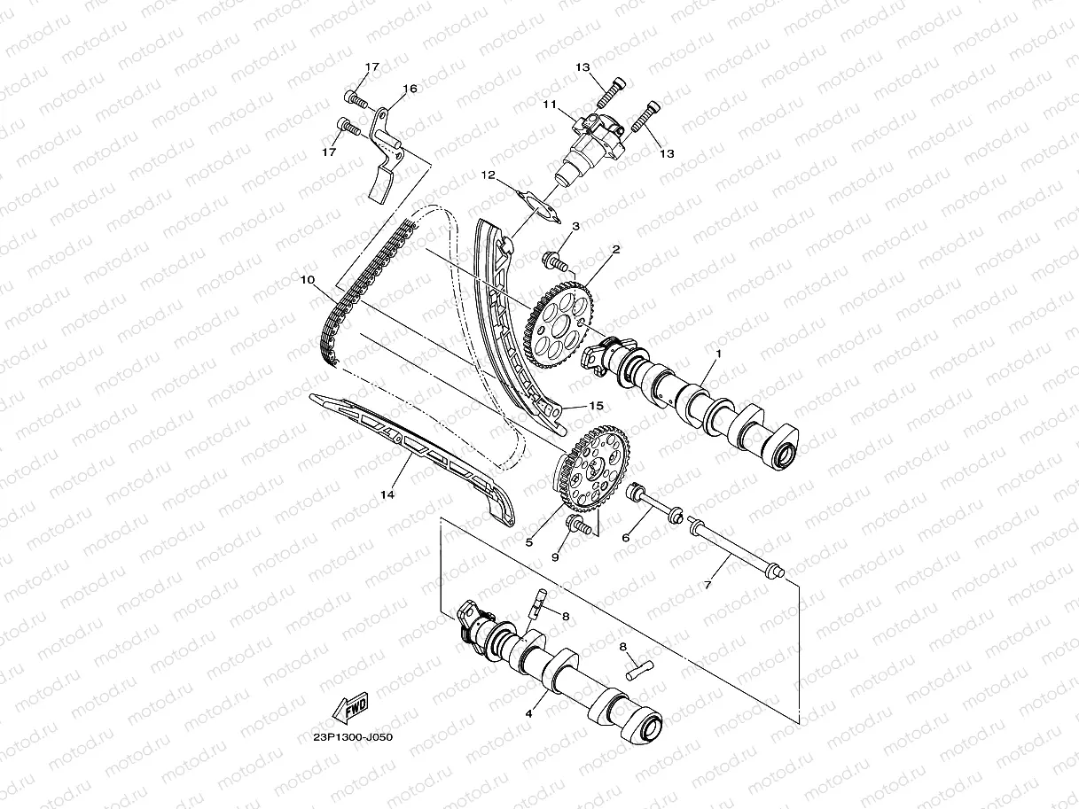 CAMSHAFT & CHAIN