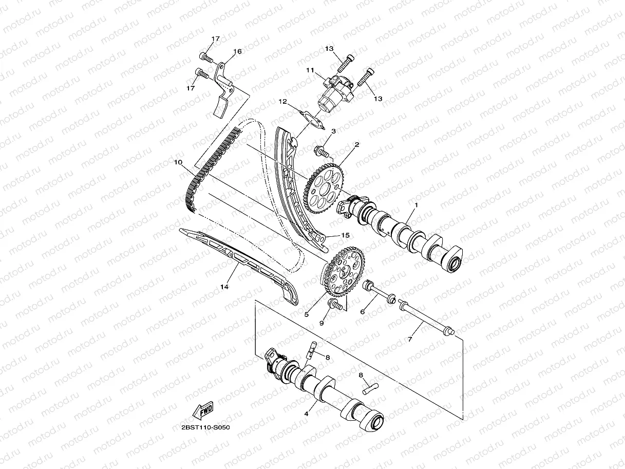 CAMSHAFT & CHAIN