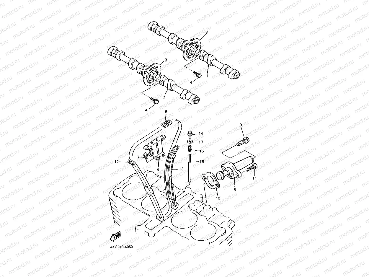 CAMSHAFT & CHAIN