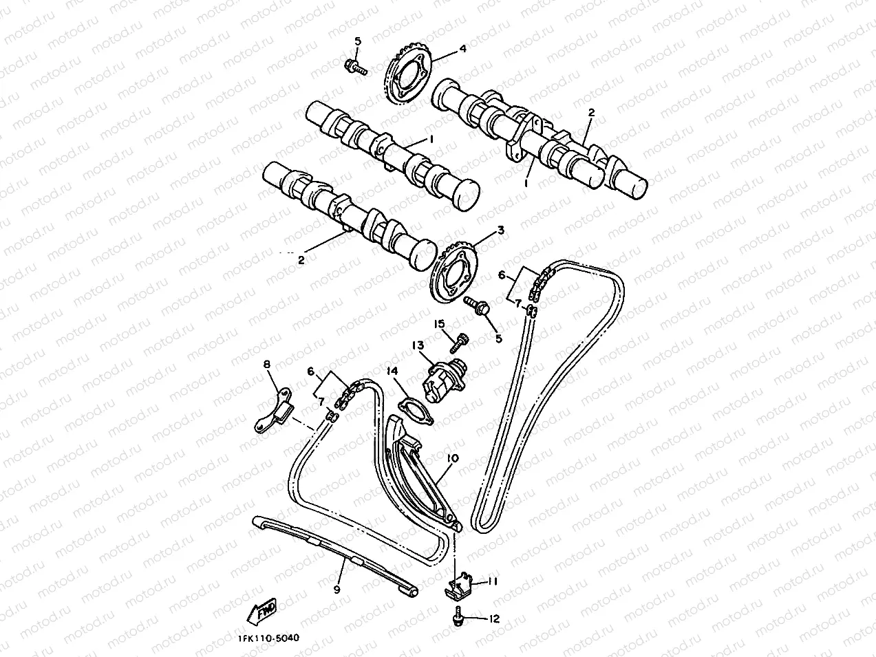 CAMSHAFT & CHAIN