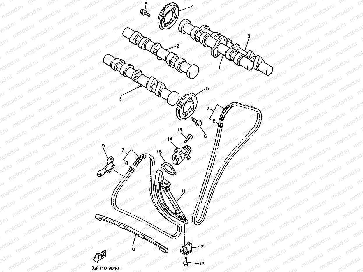 CAMSHAFT & CHAIN