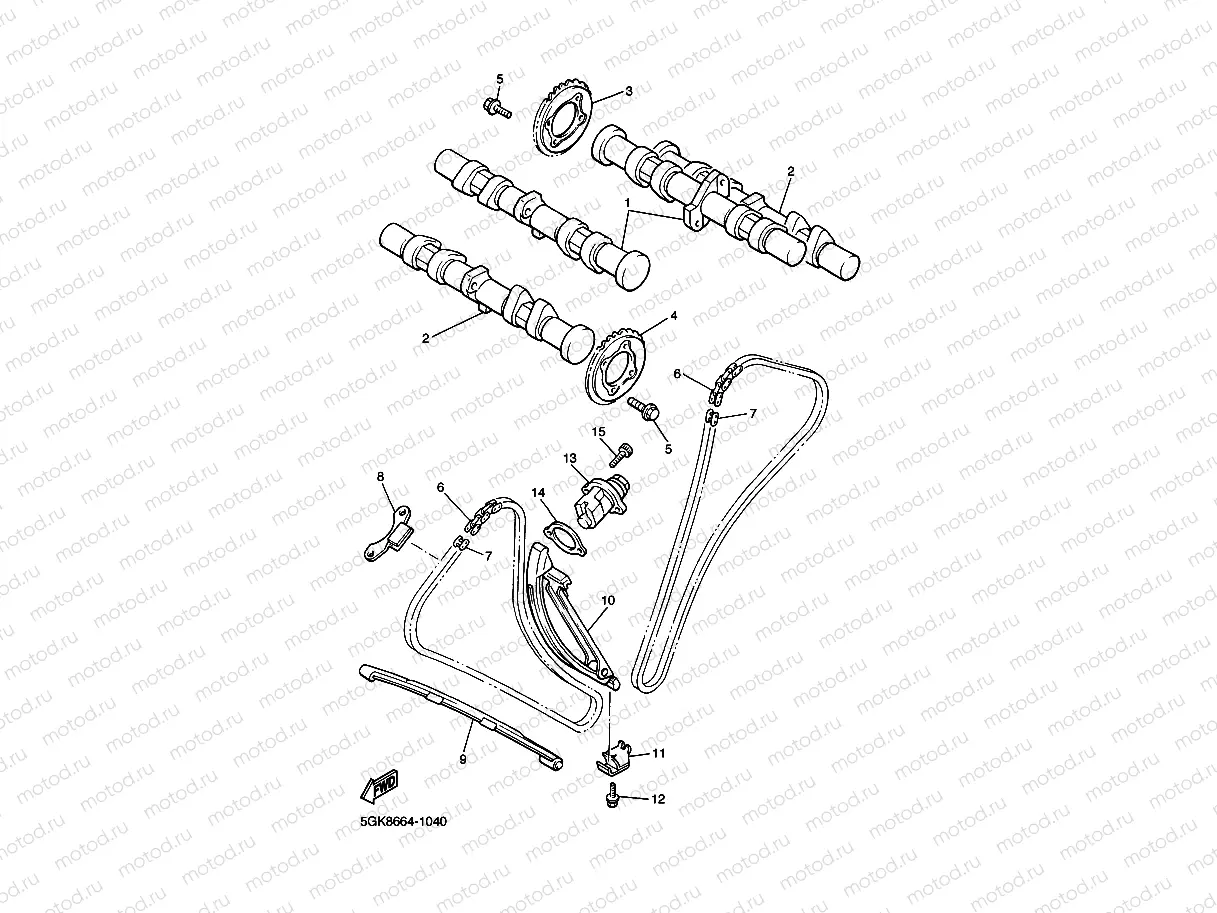 CAMSHAFT & CHAIN