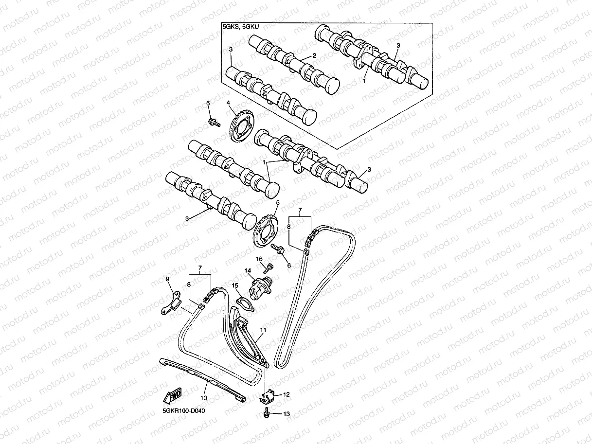 CAMSHAFT & CHAIN