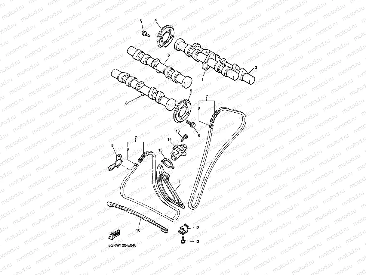 CAMSHAFT & CHAIN