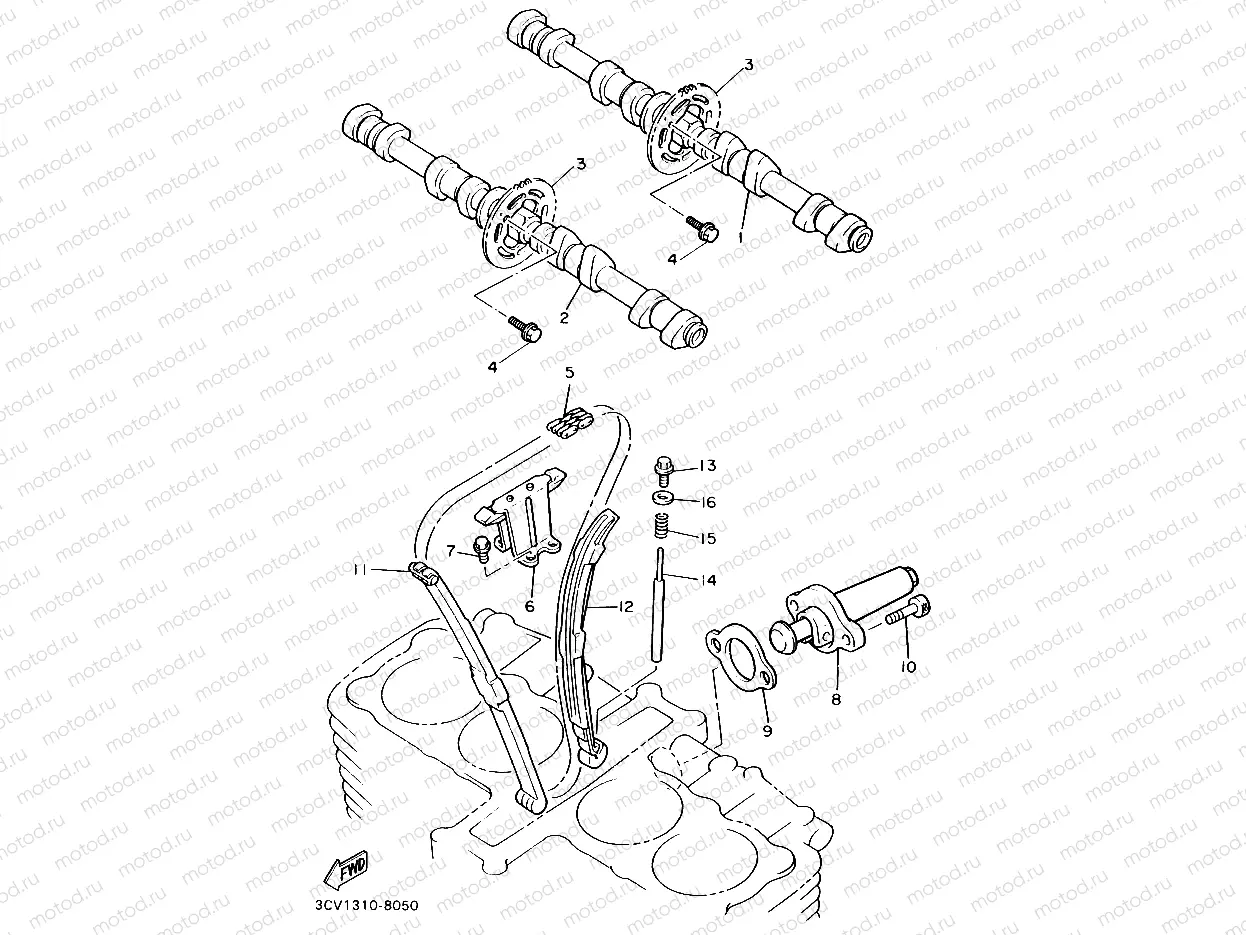 CAMSHAFT & CHAIN