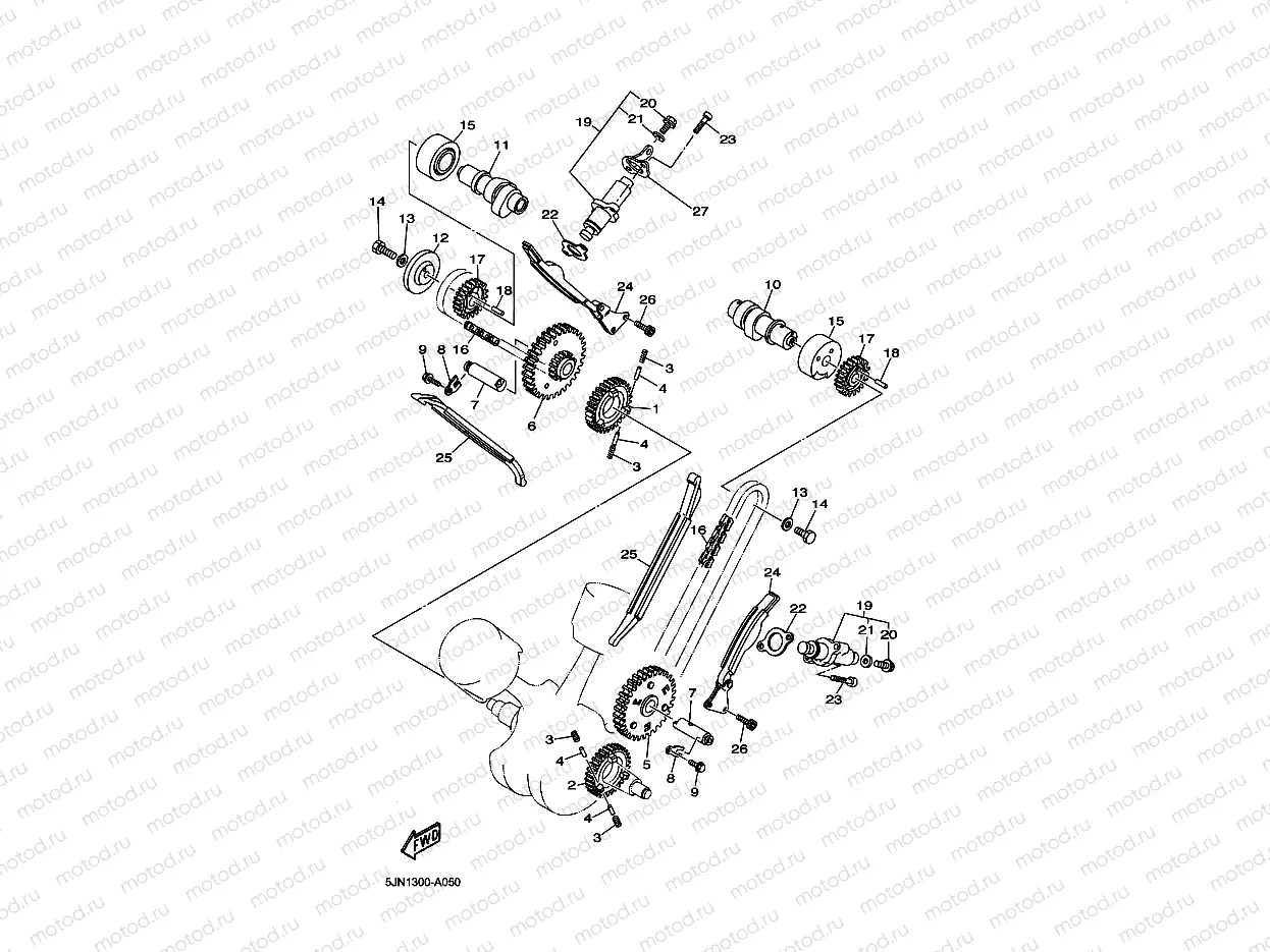 CAMSHAFT & CHAIN