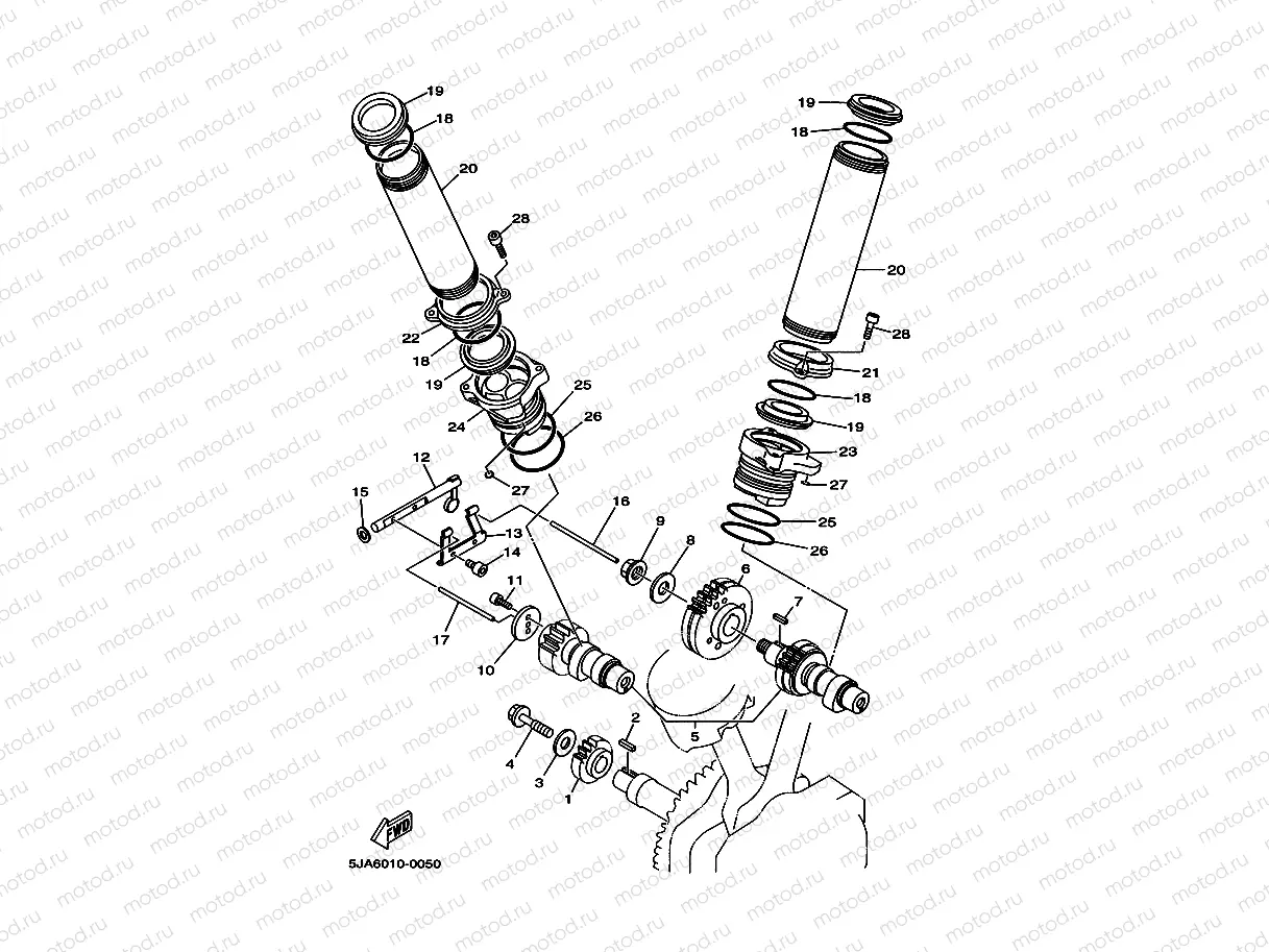 Camshaft. Chiene