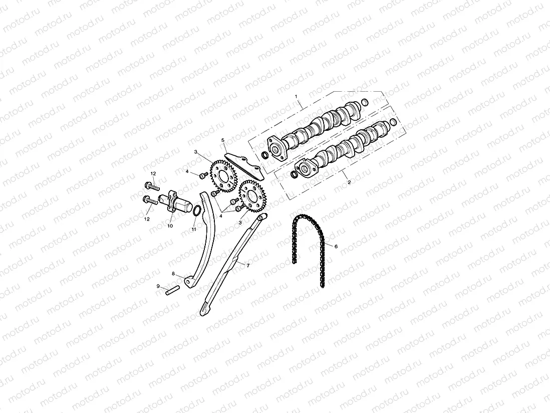 Camshaft & Drive 493832