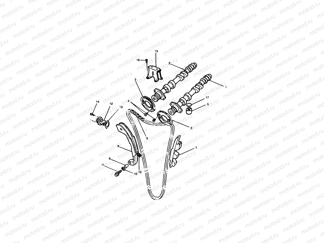 Camshaft & Drive