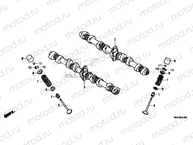 CAMSHAFT / VALVE
