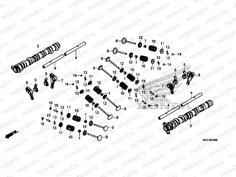 CAMSHAFT / VALVE