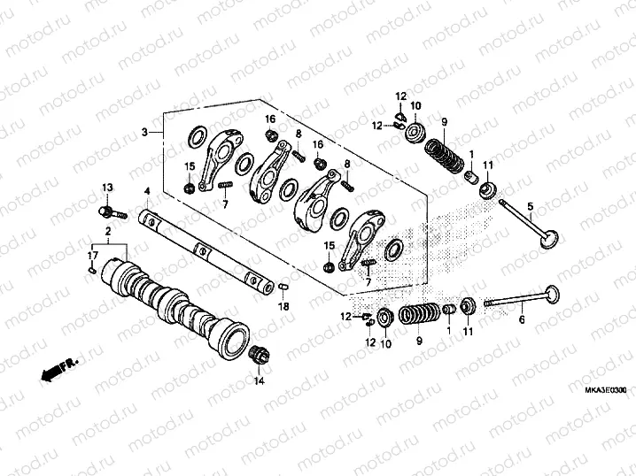 CAMSHAFT / VALVE