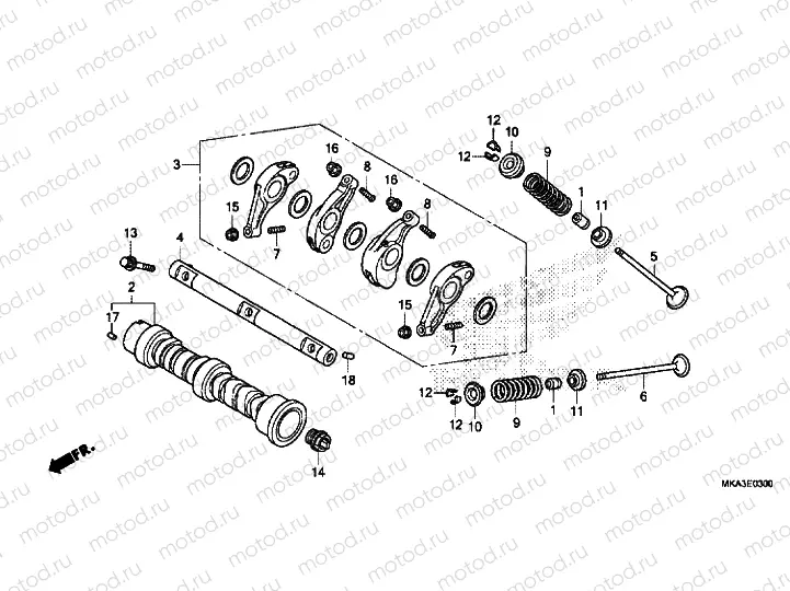 CAMSHAFT / VALVE