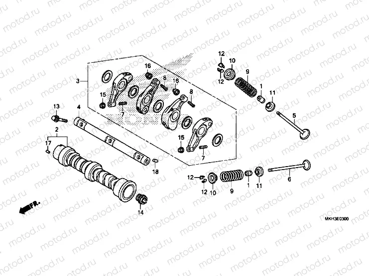 CAMSHAFT / VALVE